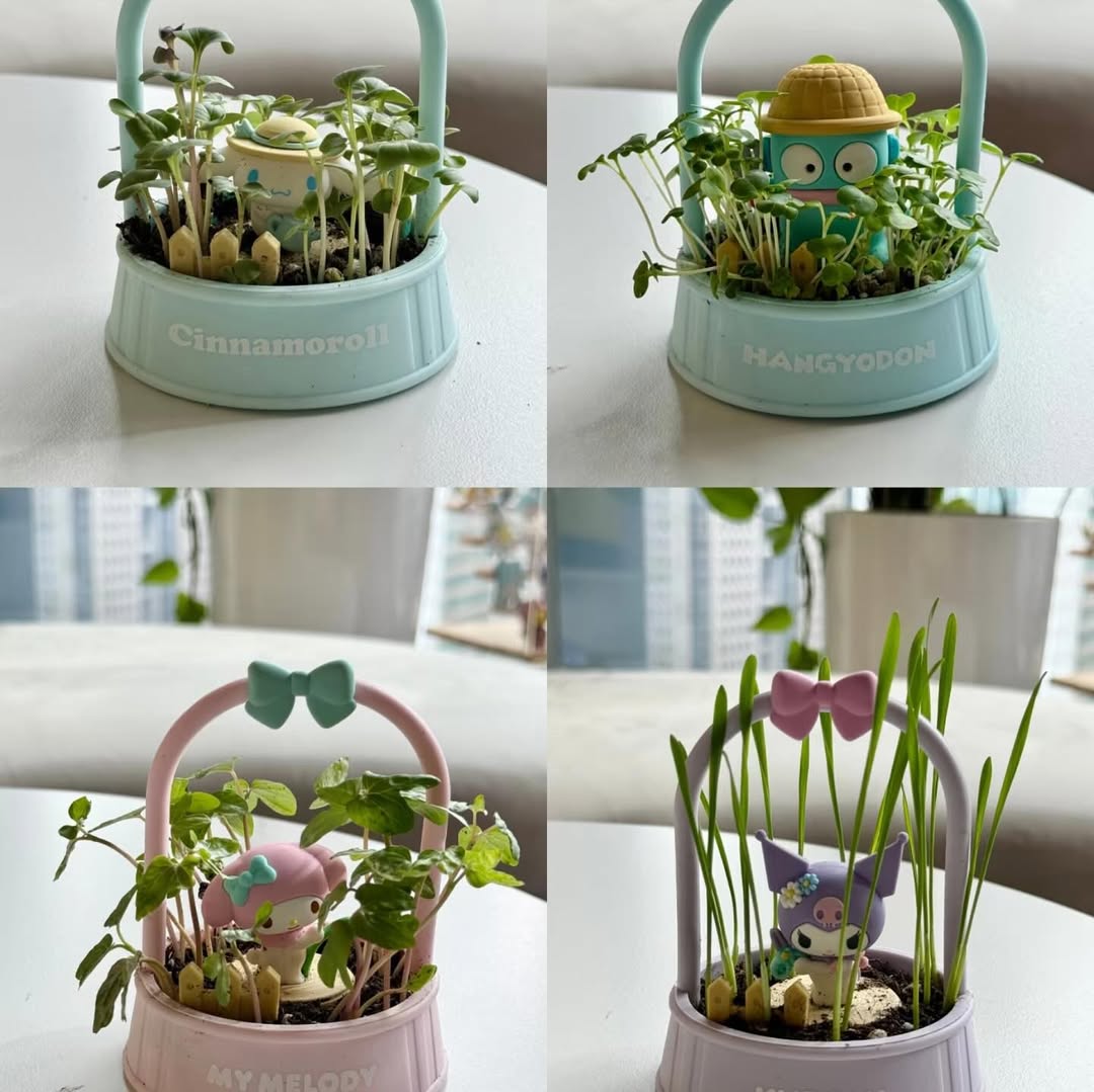 Sanrio Garden Series Blind Box