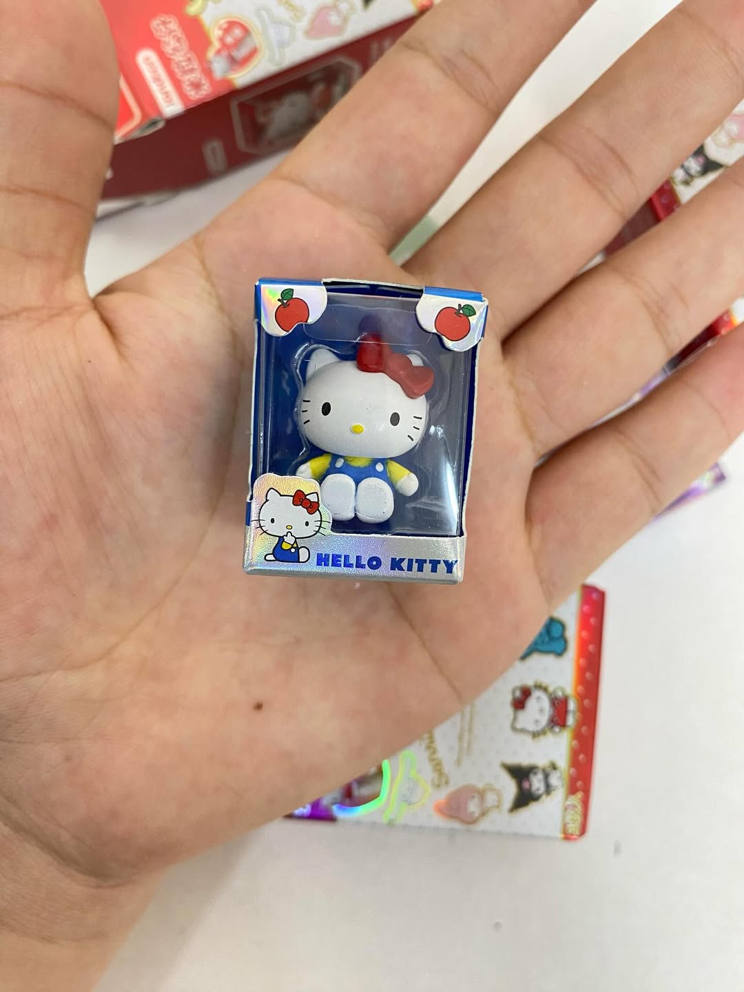 Sanrio Characters Mini Display Box Blind Box