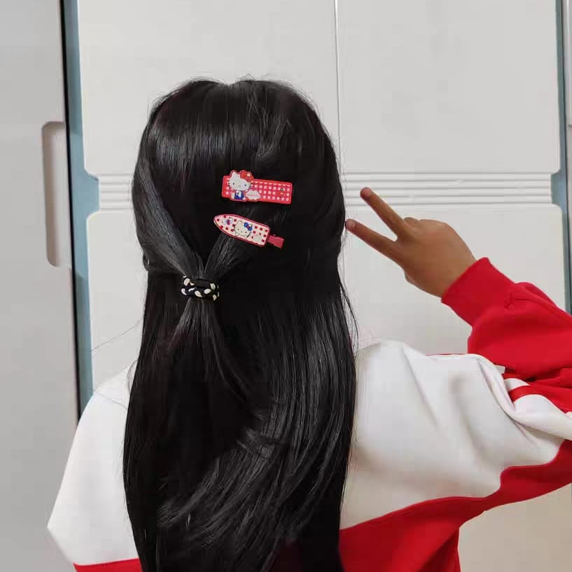 HK Hair Clip Set