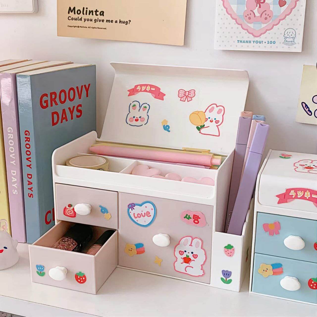 Kawaii Storage Organizer